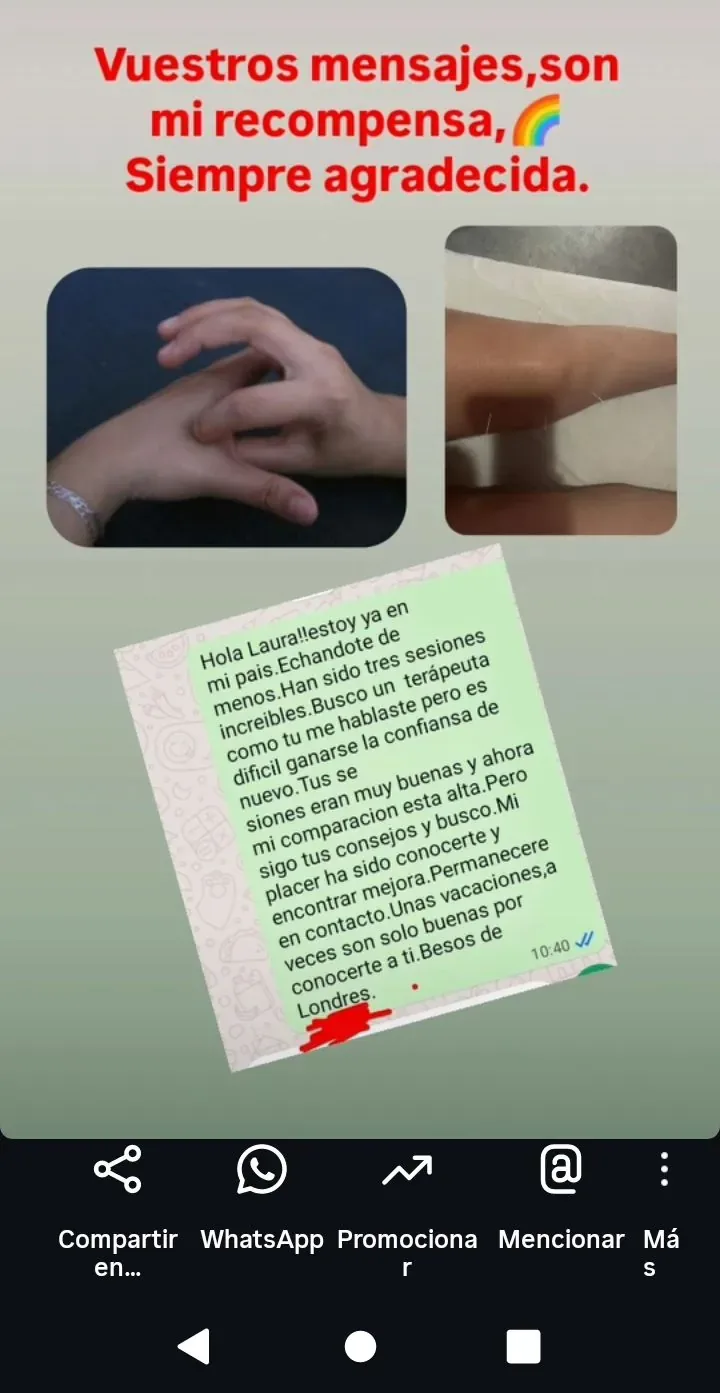 Real screenshot of a message received by Laura Rodríguez from a client 3